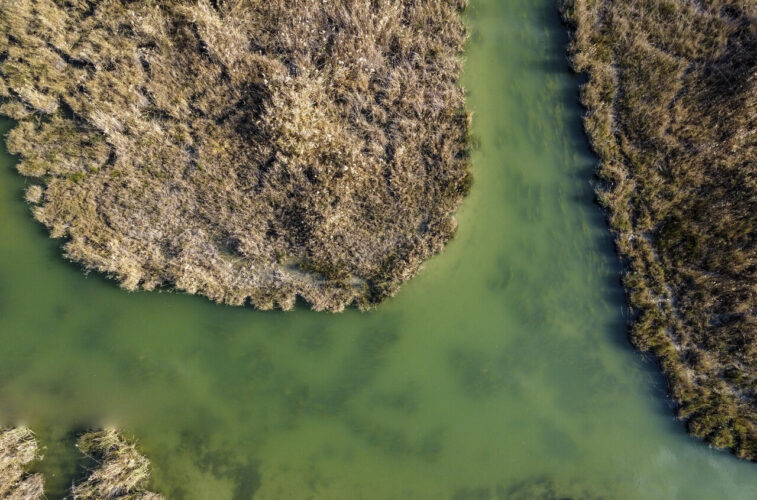 تالاب های خوزستان