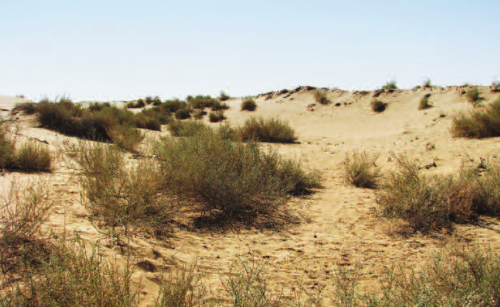 مناطق بیابانی خوزستان