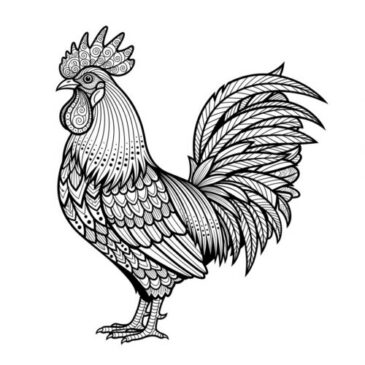 ماکیان استان خوزستان