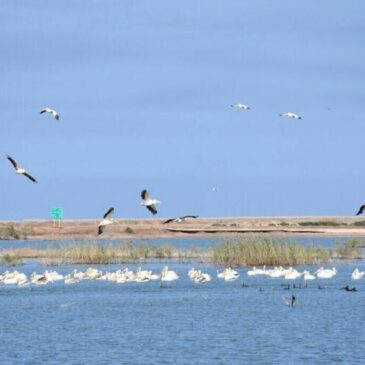 تنوع زیستی استان خوزستان